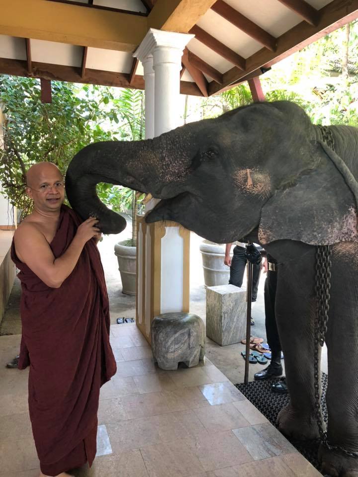 උඩුවේ ධම්මාලෝක හිමි අලි නඩුවෙන් නිදහස් උඩුවේ ධම්මාලෝක හිමි අලි නඩුවෙන් නිදහස්