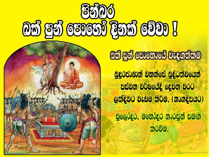 බක් පුර පසළොස්වක පොහොය දිනය බක් පුර පසළොස්වක පොහොය දිනය