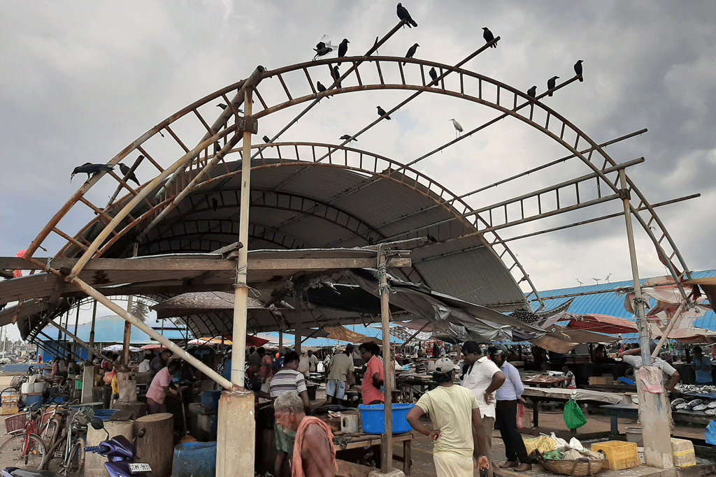 මිගමුව වැල්ලවීදිය නව මාළුවෙළද සංකීර්ණය -මිහිපිට අපායක් මිගමුව වැල්ලවීදිය නව මාළුවෙළද සංකීර්ණය -මිහිපිට අපායක්
