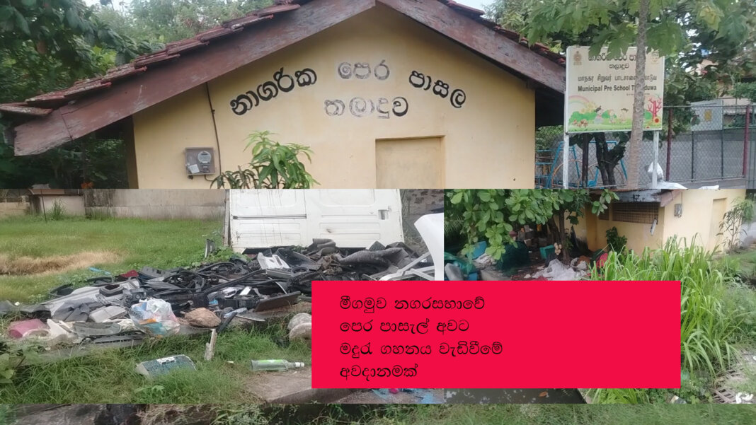 මීගමුව නගරසභාවේ පෙර පාසැල් අවට මදුරුවෝ ……? මීගමුව නගරසභාවේ පෙර පාසැල් අවට මදුරුවෝ ……?
