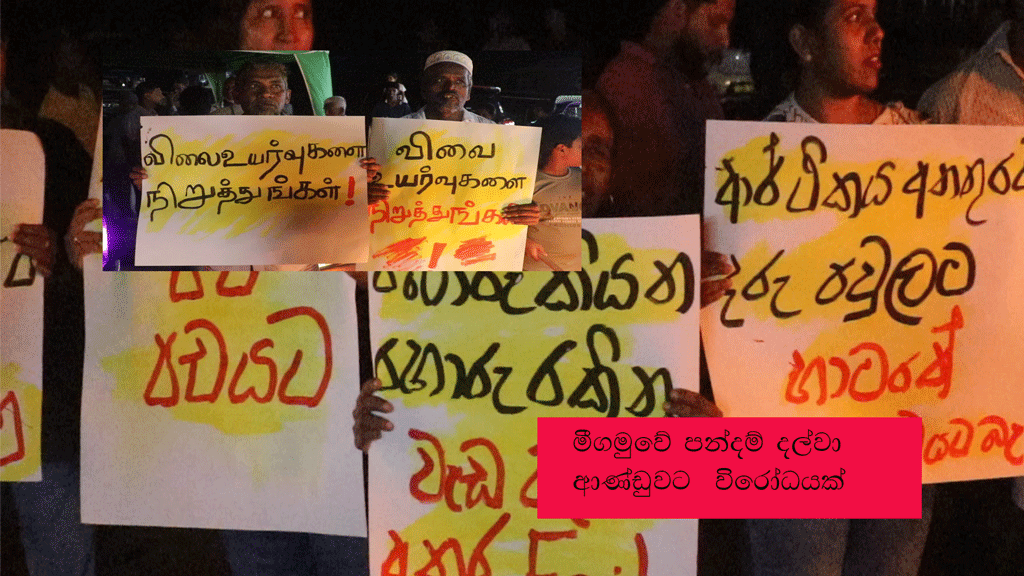 පන්දම්-විරෝධය