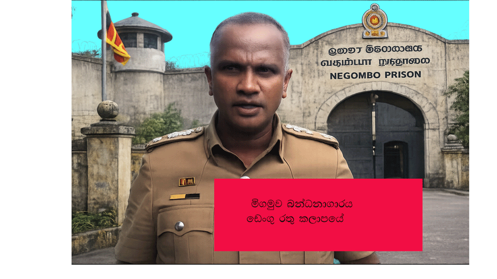 මිගමුව බන්ධනාගාරය ඩෙංගු රතු කලාපයේ මිගමුව බන්ධනාගාරය ඩෙංගු රතු කලාපයේ