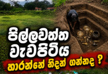 පිල්ල වත්ත වැවුපිටිය හාරන්නේ නිදන් ගන්නද ?