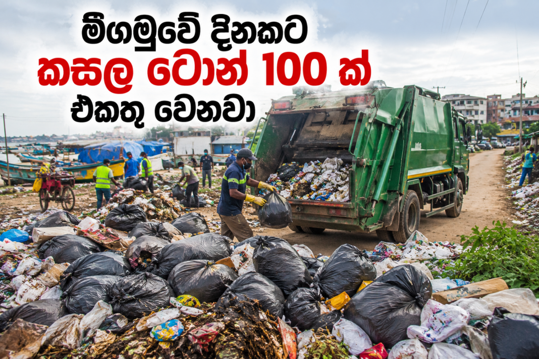 migamuve කසල