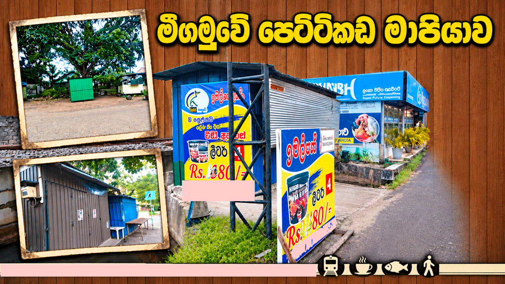 පෙට්ටිකඩ-මාපියාව